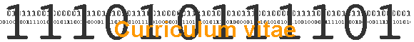 Curriculum vitae